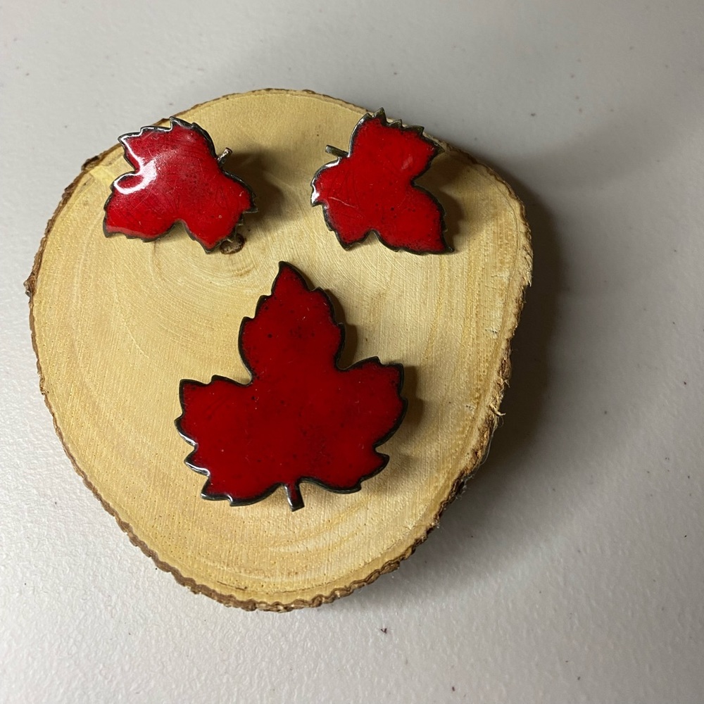 Screw back earrings and brooch.